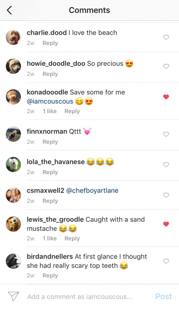 Instagram Comment Posts